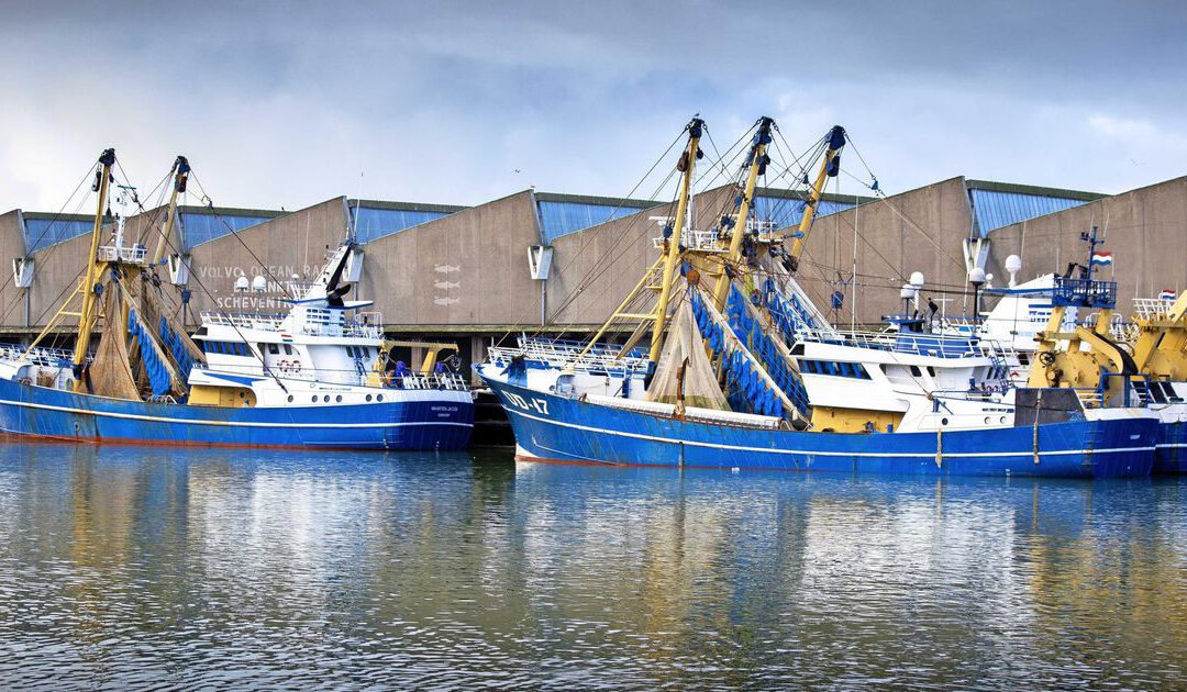 Nederlandse visserij moet Brexit-vergoeding delen met Grieken: 5 vragen