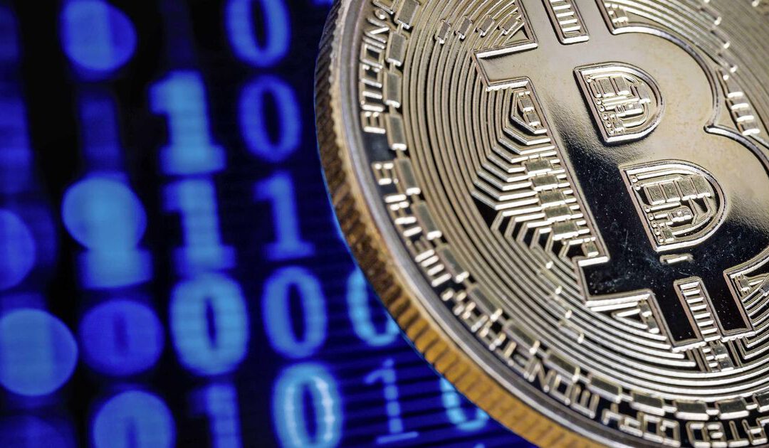 Dit cryptoplatform is in trek bij beleggers ondanks neergang bitcoin