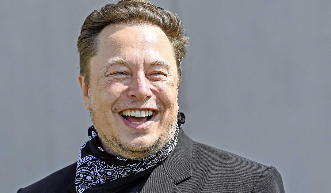 Hoe Elon Musk zich opwerkte van whizzkid naar multimiljardair