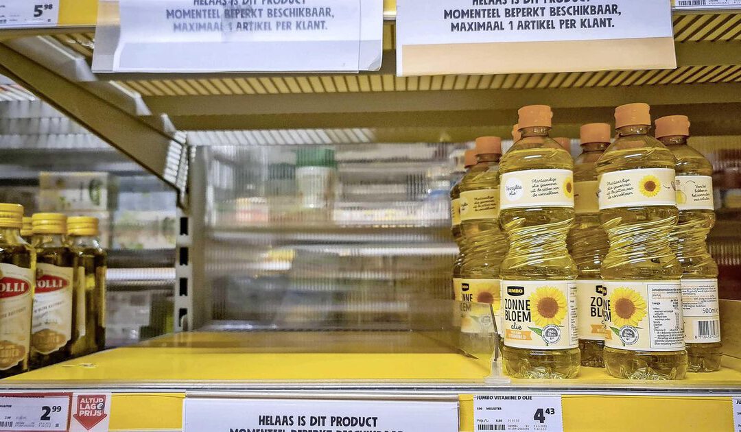 Nederland importkampioen Oekraïense zonnebloemolie en maïs